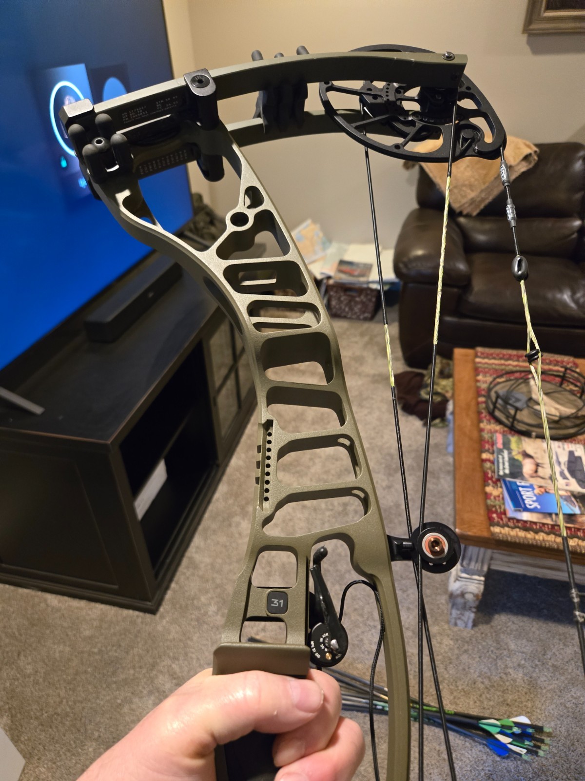 hoyt vtm 31