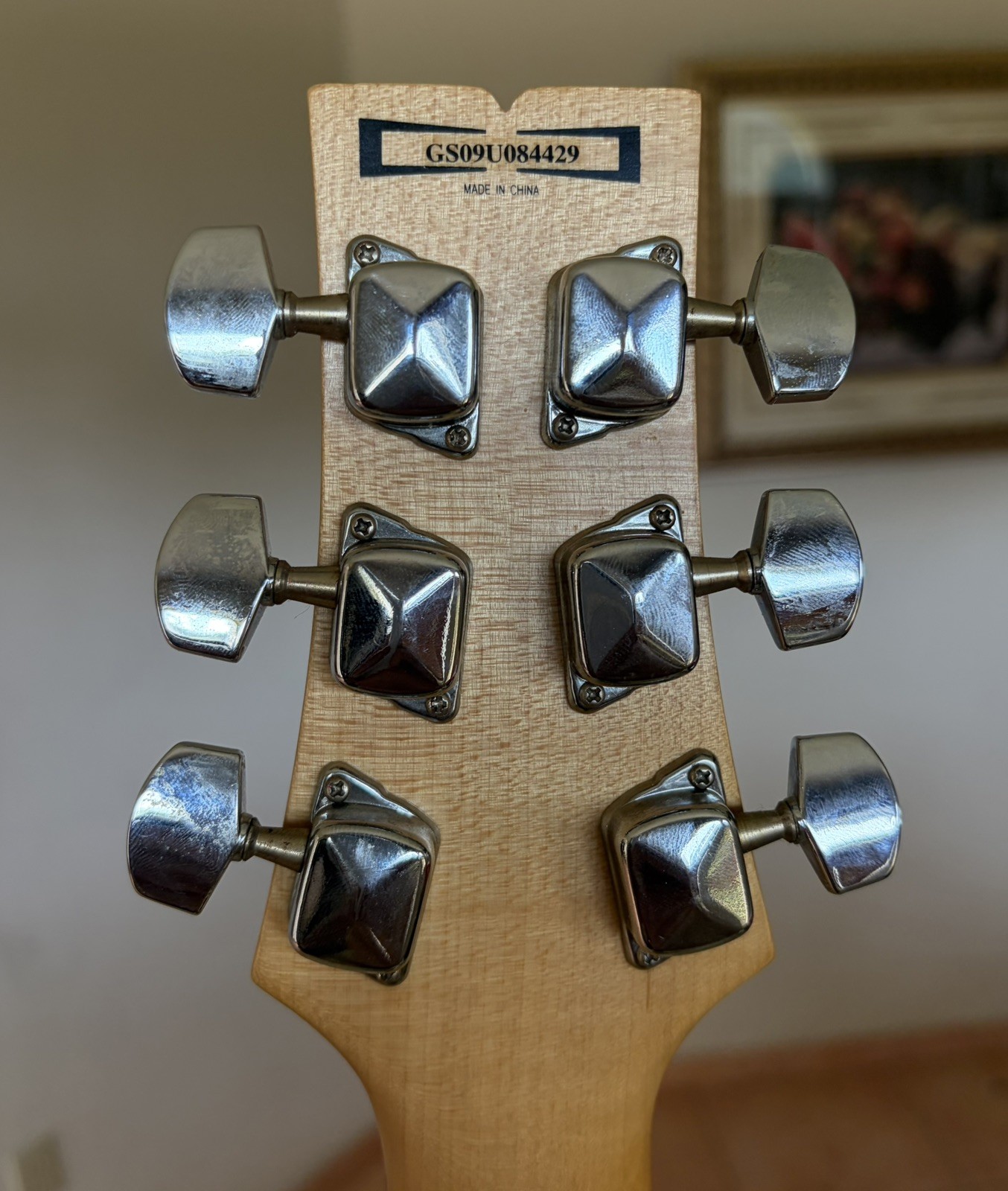 Ibanez GART30