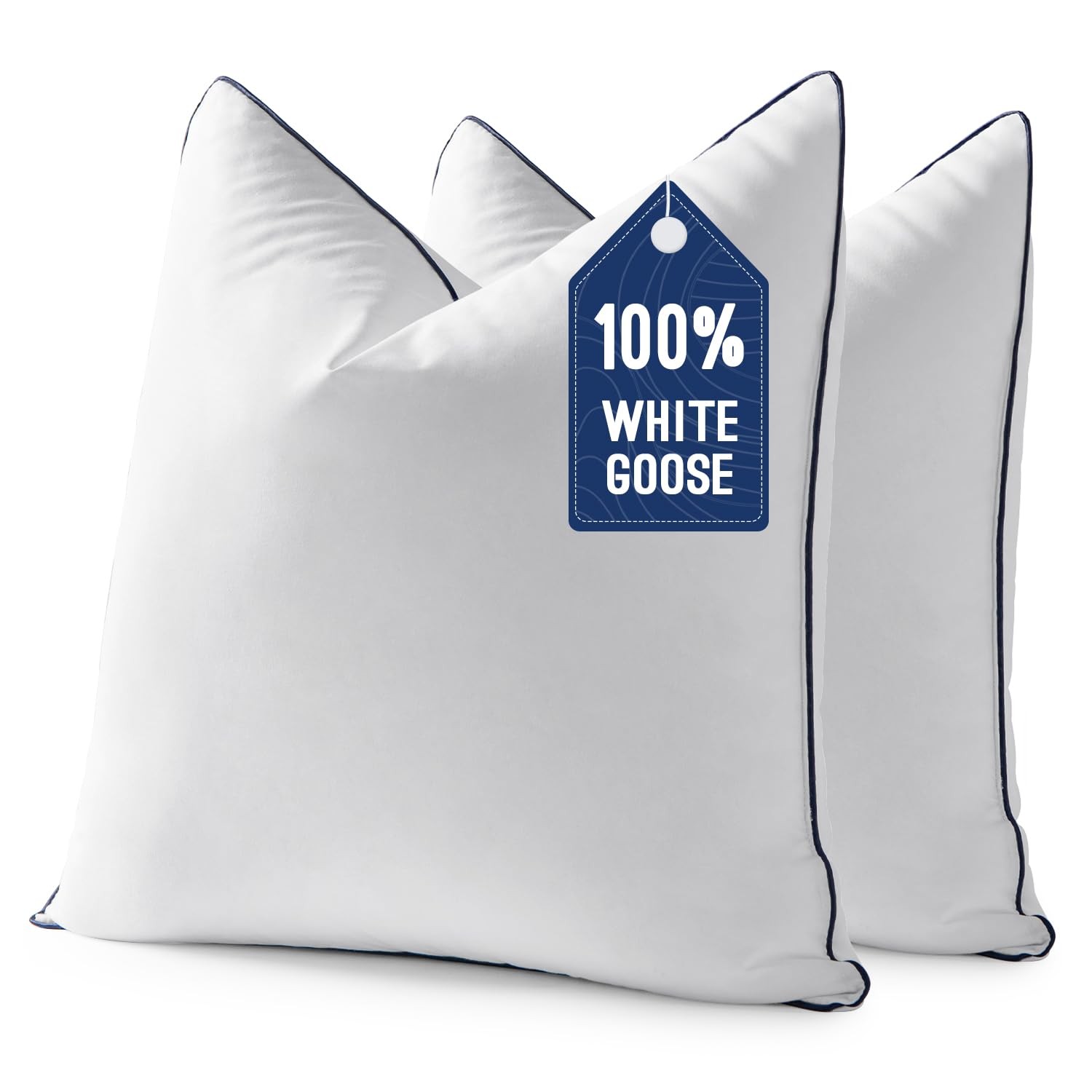 MIULEE Goose Feather Down 18x18 Pillow Insert Set of 2 with Inch, White