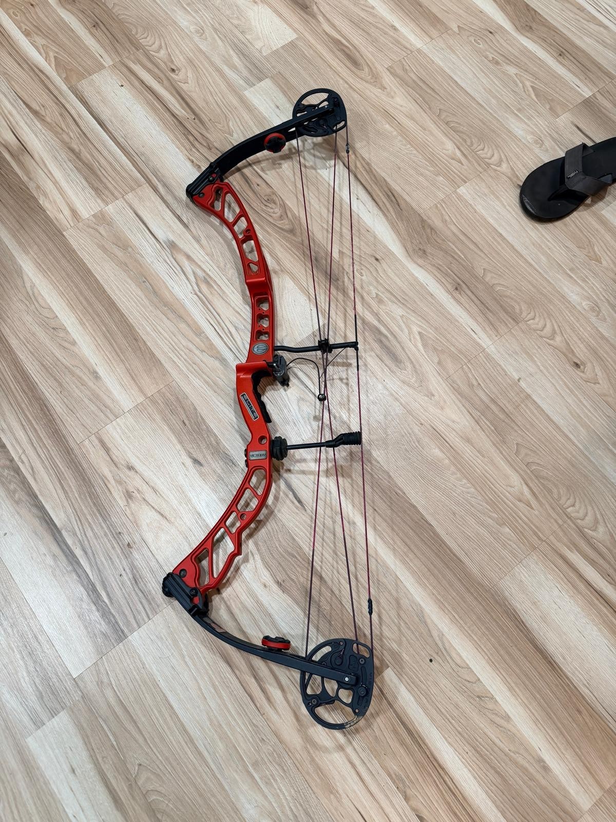 Compound Hunting Bow elite victory 60 lbs cable 44 5/8  string 63 1/8
