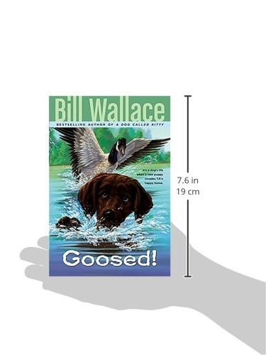 Goosed!
