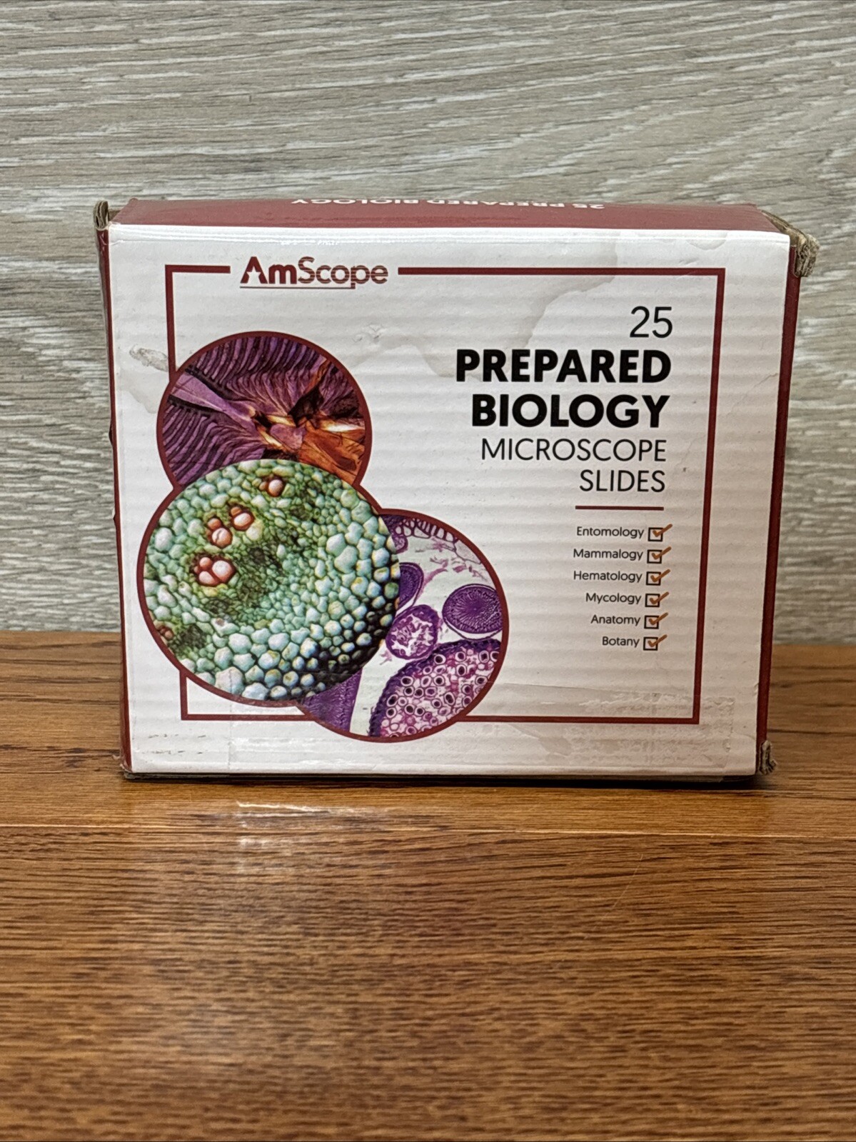AmScope PS25 Prepared Microscope Slide Set for Basic Biological Science B