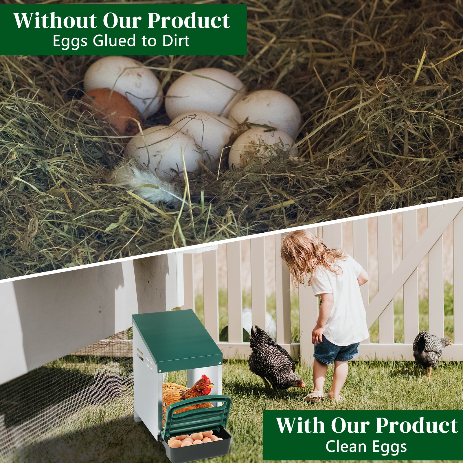 Chicken Nesting Boxes 1 Hole Metal Chicken Egg Laying Box Rollout Egg Collection