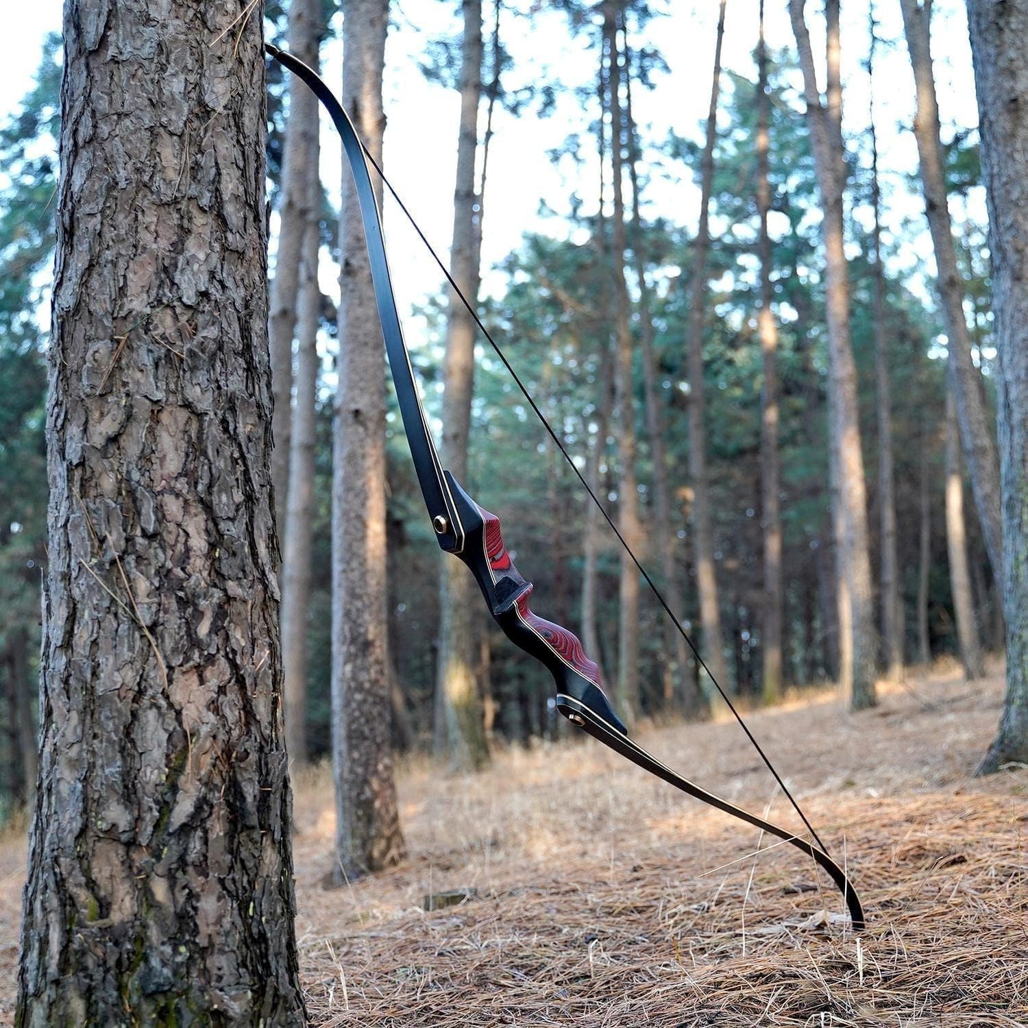 PMZ 60" Recurve Bow Set with Arrows 35lbs Archery Takedown Bow for Beginners