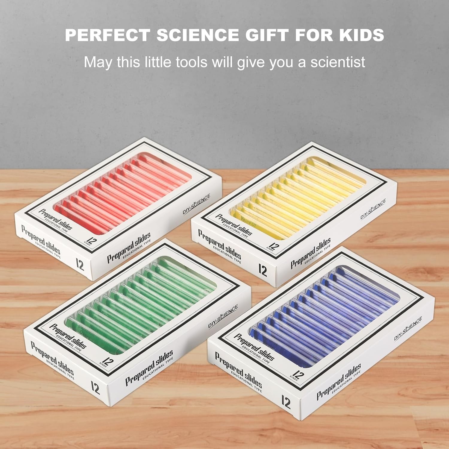 48 Prepared Microscope Slides for Kids - Safe & Clear Science Education