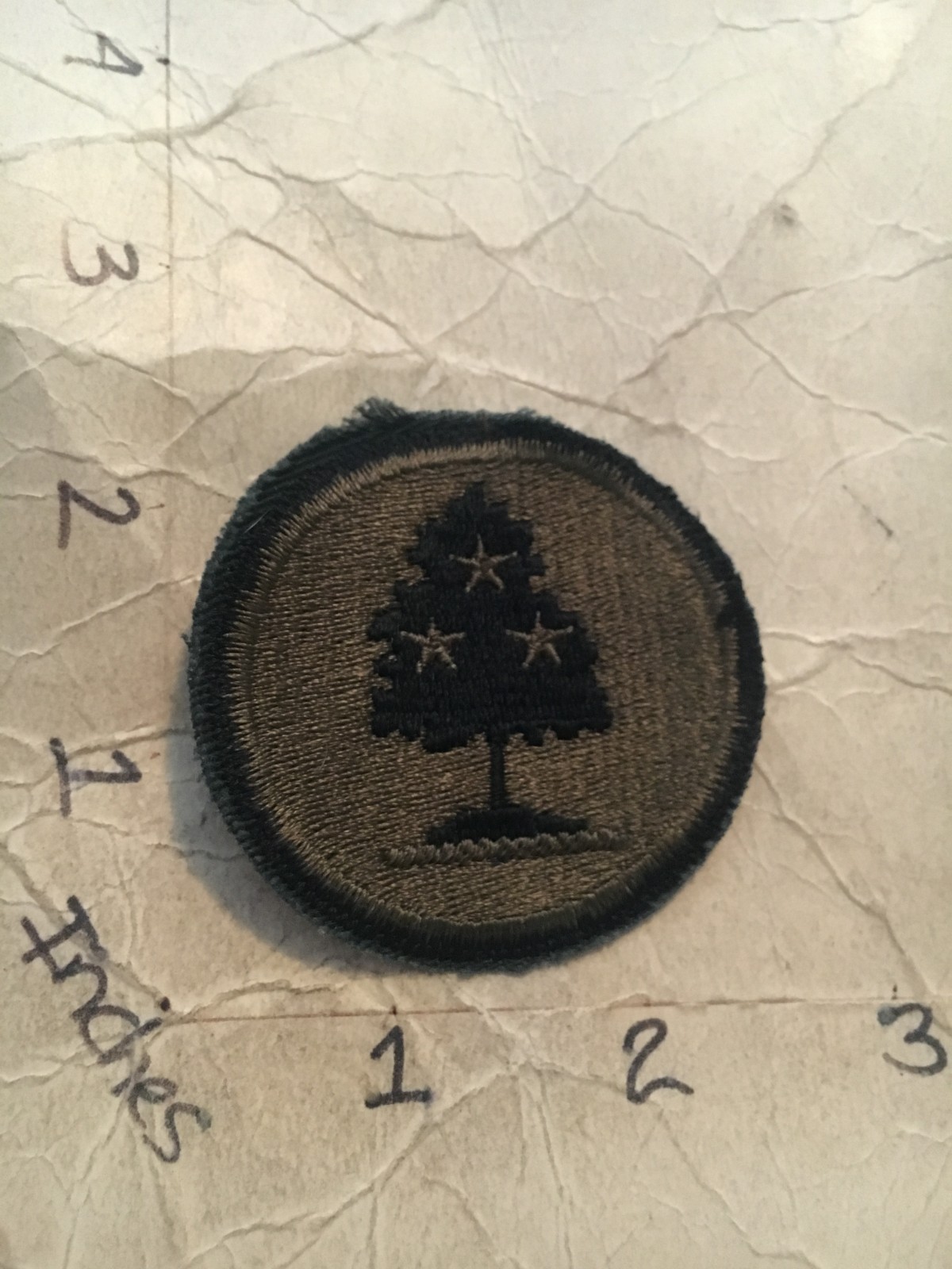 US Army Tennessee National Guard subdued patch 10/9/25