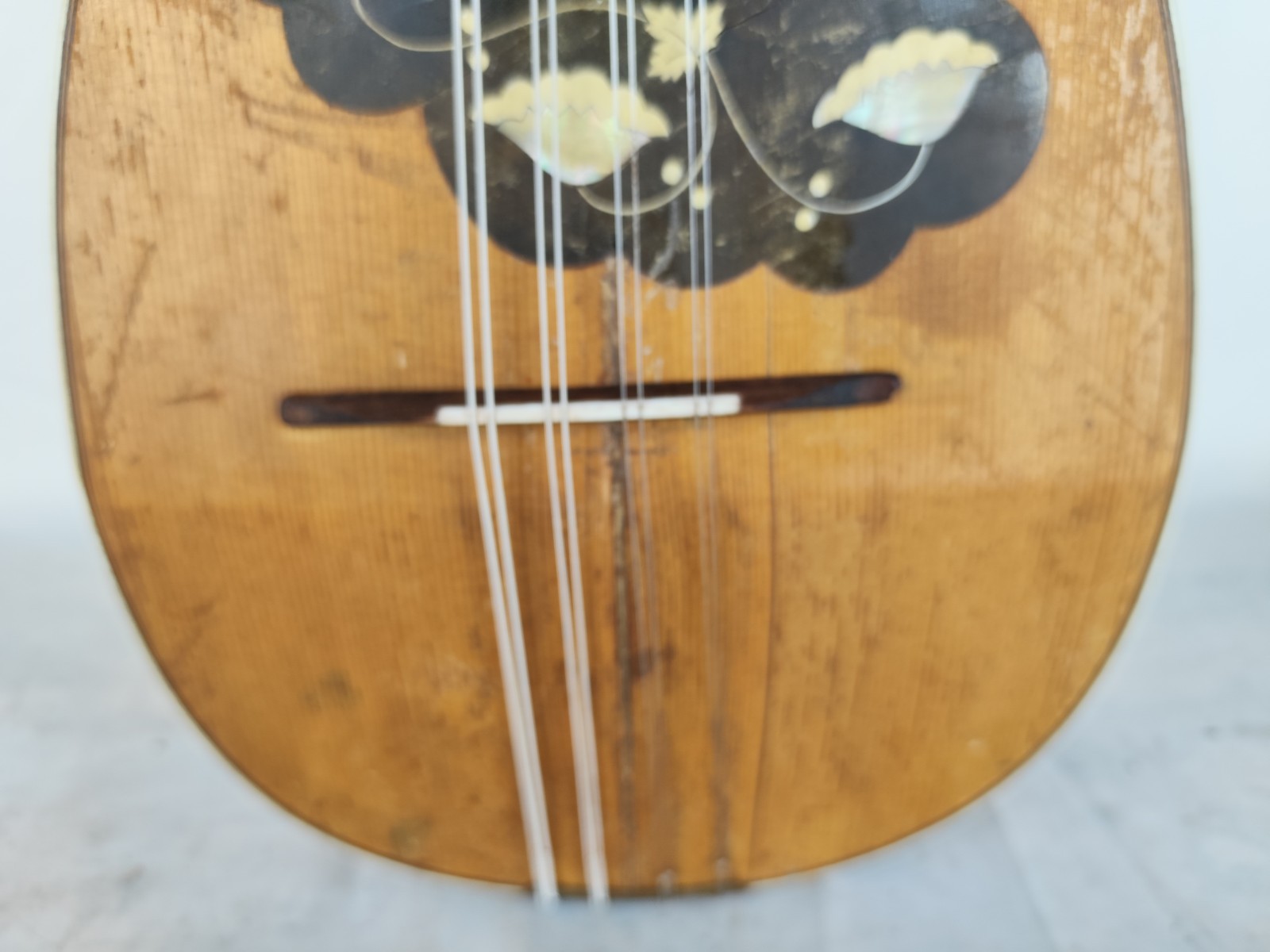 1940 Machitella Terigi & C. Brindisi 6 String Mandolin 曼陀林 만돌린マンド
