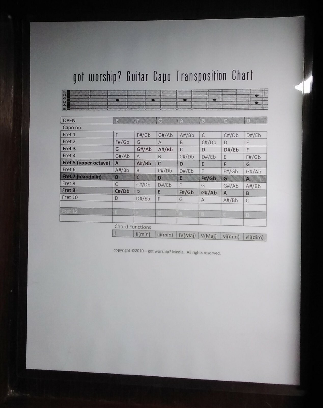Guitar Capo Transposition  Chart ~ Laminated ~ FREE Shipping ~