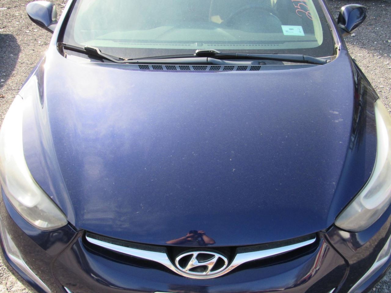 ELANTRA 2014 Glove Box 1041677