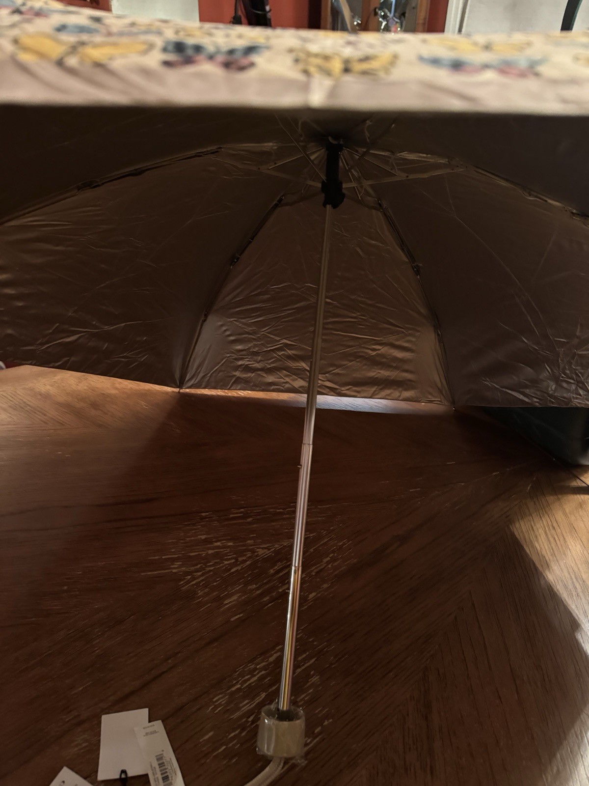 Coach Butterfly Umbrella