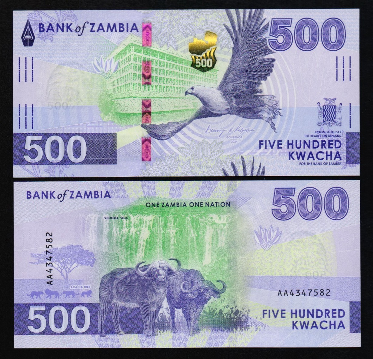 ZAMBIA: B176a P#W67 500 Kwacha 2024 (2025) New series Uncirculated Banknote.