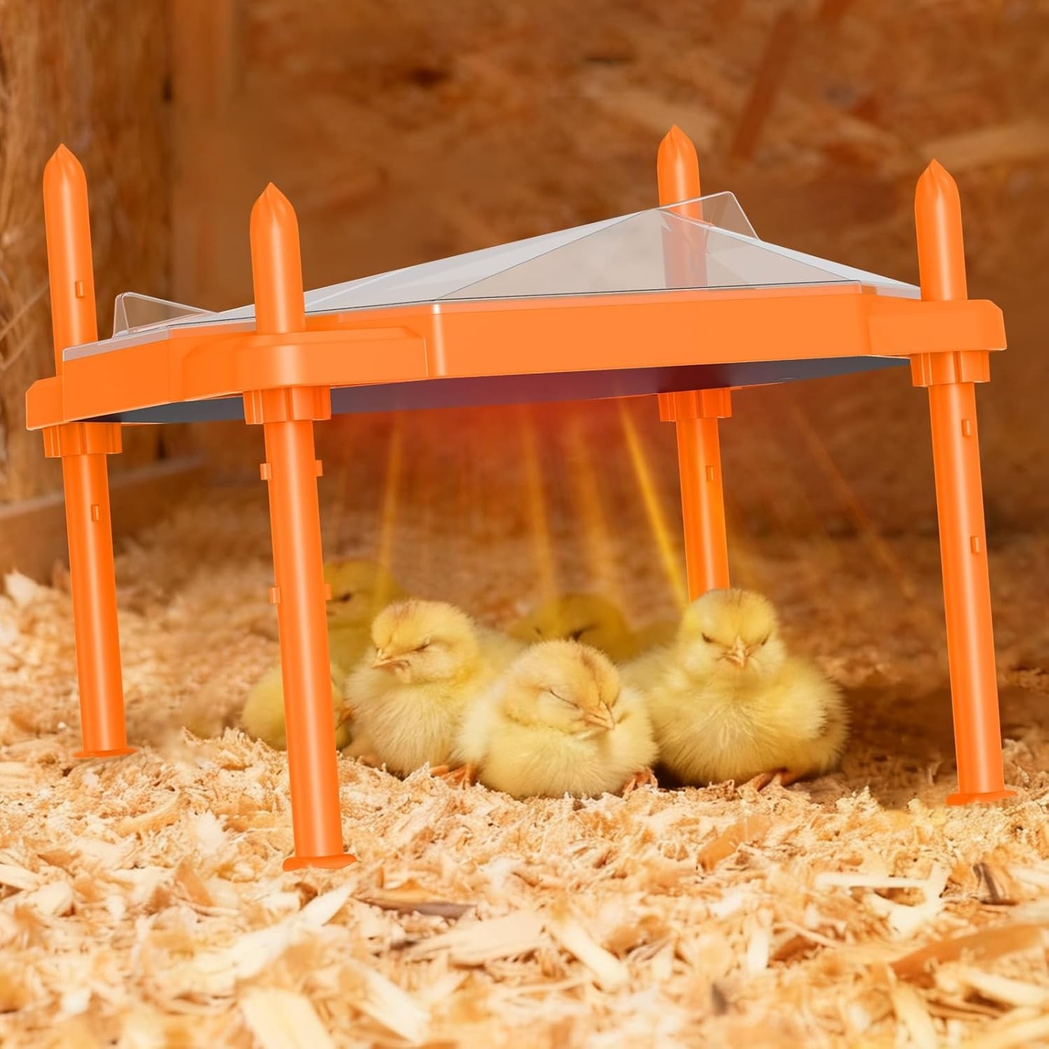 Chick Brooder Heating Plate 14"x11" - Adjustable Warmth for 18-22 Chicks