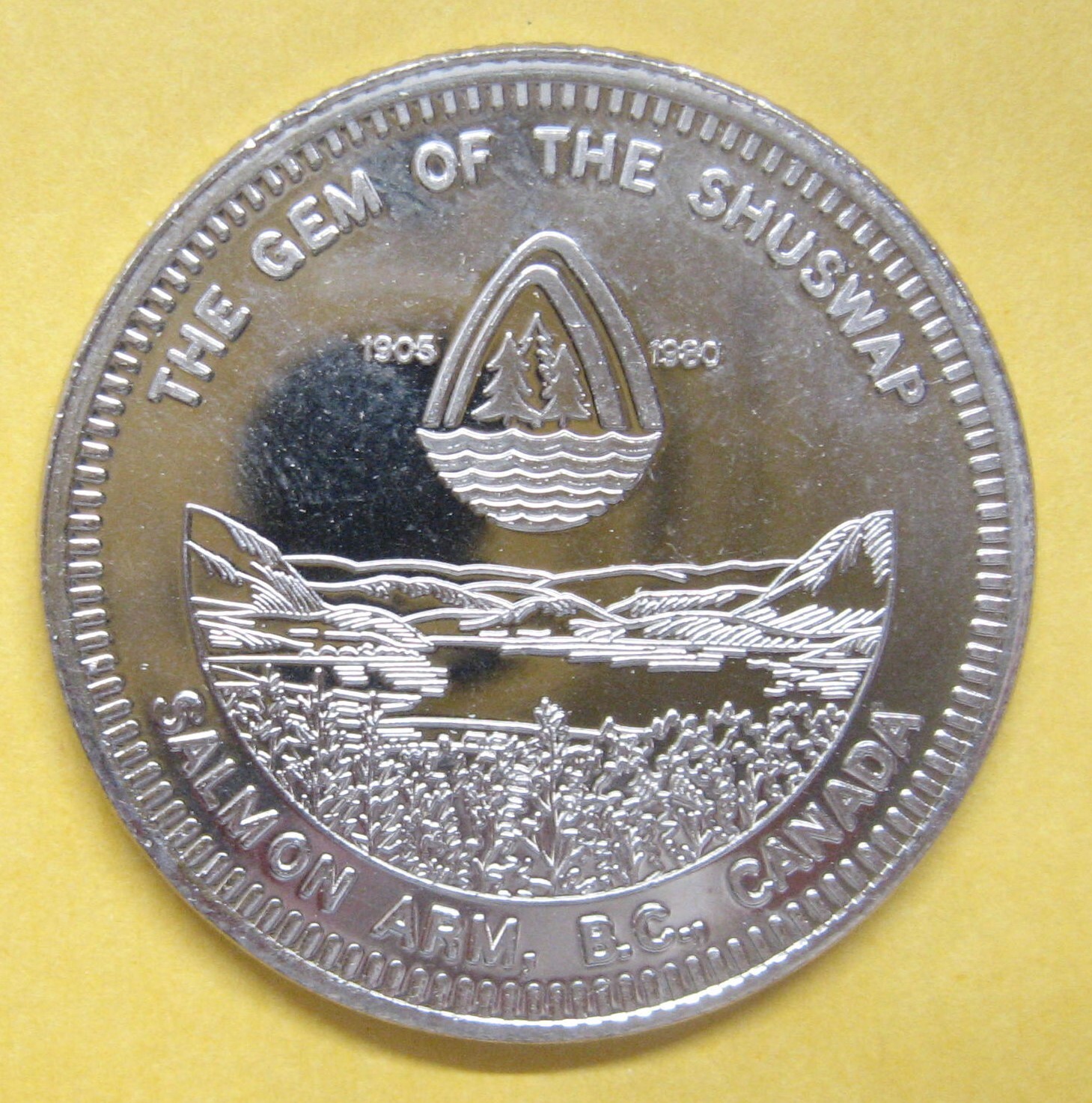 1980 Salmon Arms B.C. Trade Dollar Take a Look