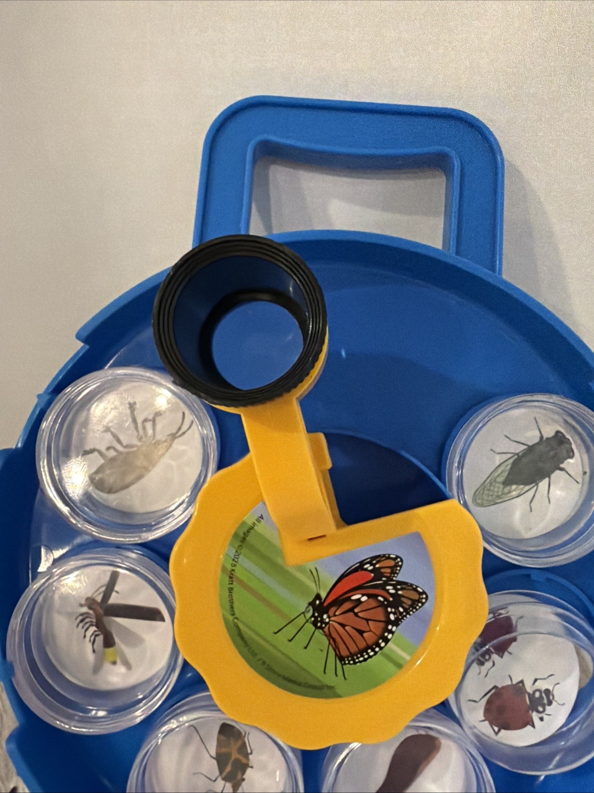 PBS Wild Kratts Bug Viewing Kit