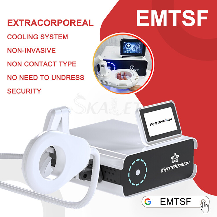 Pain Relief Treatment Physio Magneto Magnetoterapia Pemf Therapy Device