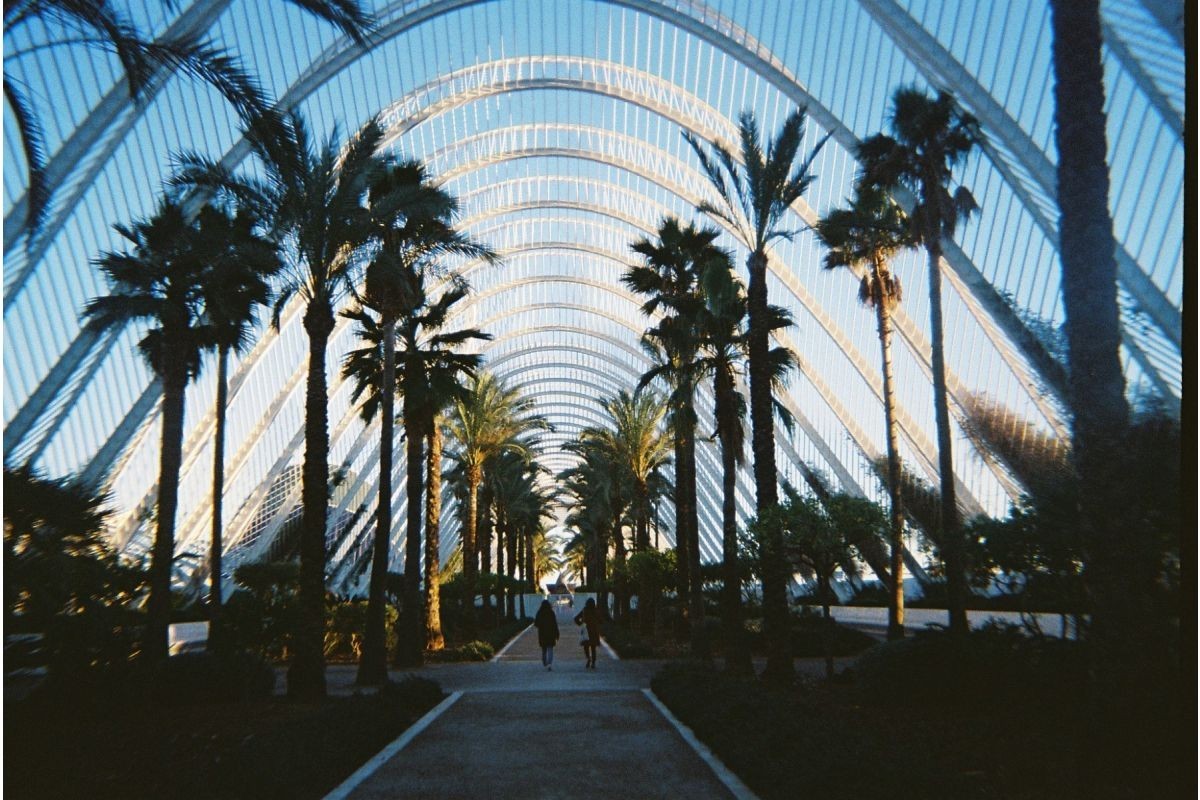 Lomography Simple Use Color Negative 400 ISO Camera 36 Exposures