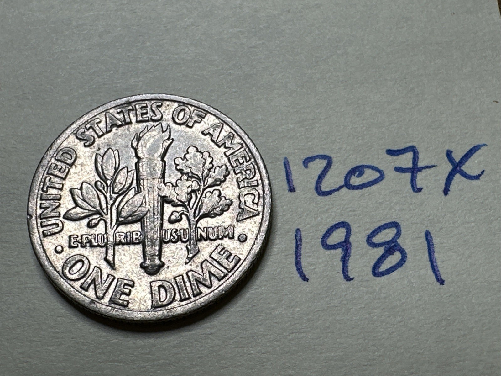 1981 P Roosevelt Dime • 10C 1207X