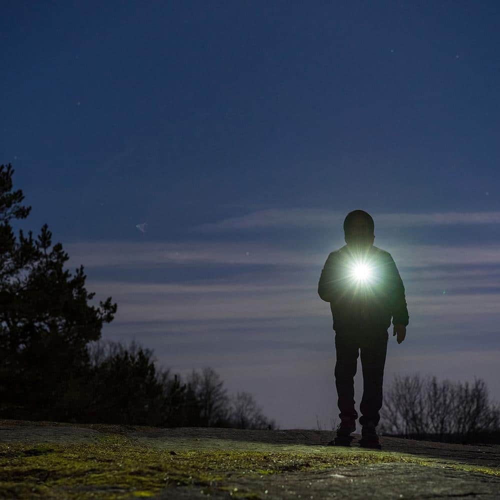 Defiant 300 Lumens Aluminum Flashlight (3-Pack)