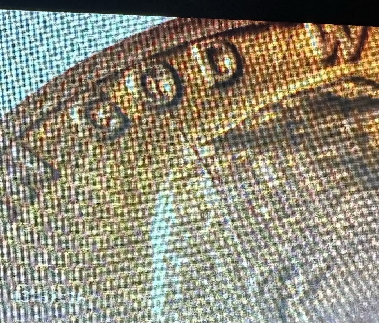 1974 D Penny Die Crack Error
