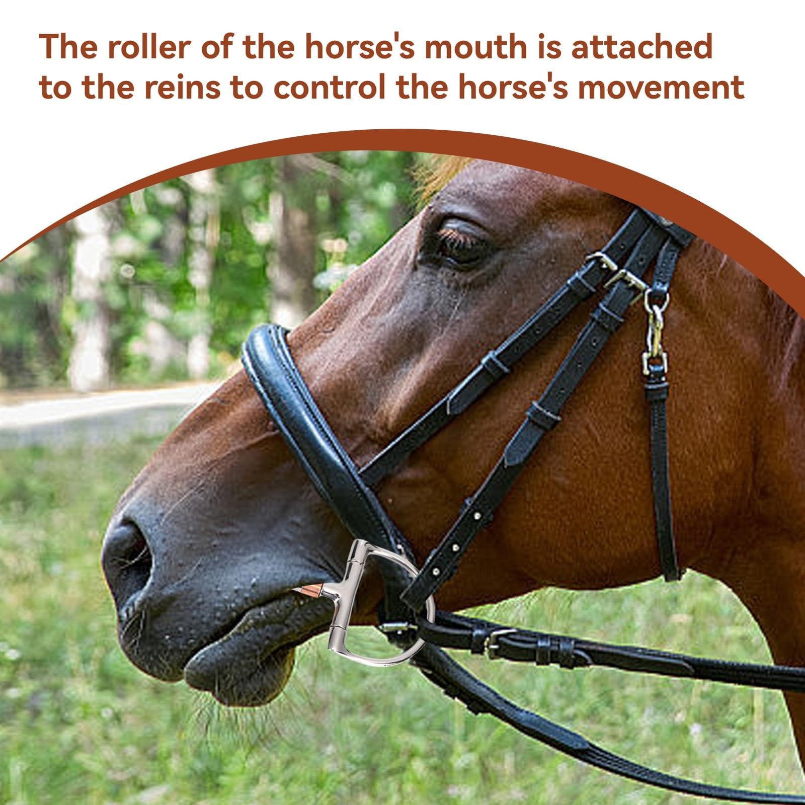 Horse Bits, Professional Ring Snaffle Bit With Jointed Copper Mouth Snaffle...