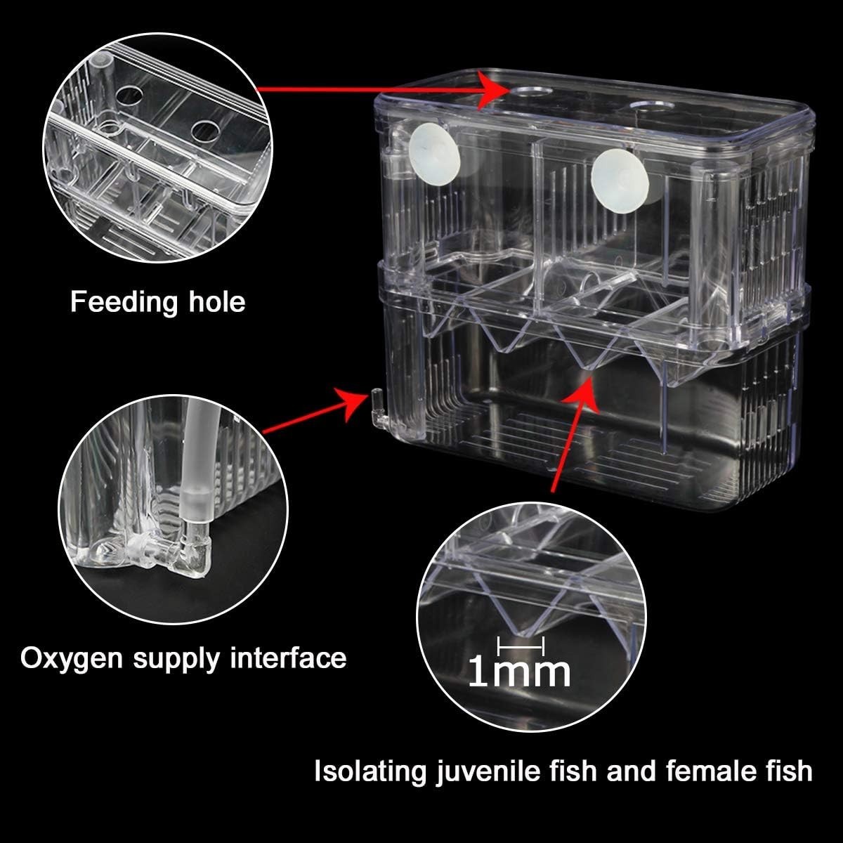 Aesthetic Plastic Fish Breeder Box - Prevent Fish Aggression & Enhance Survival