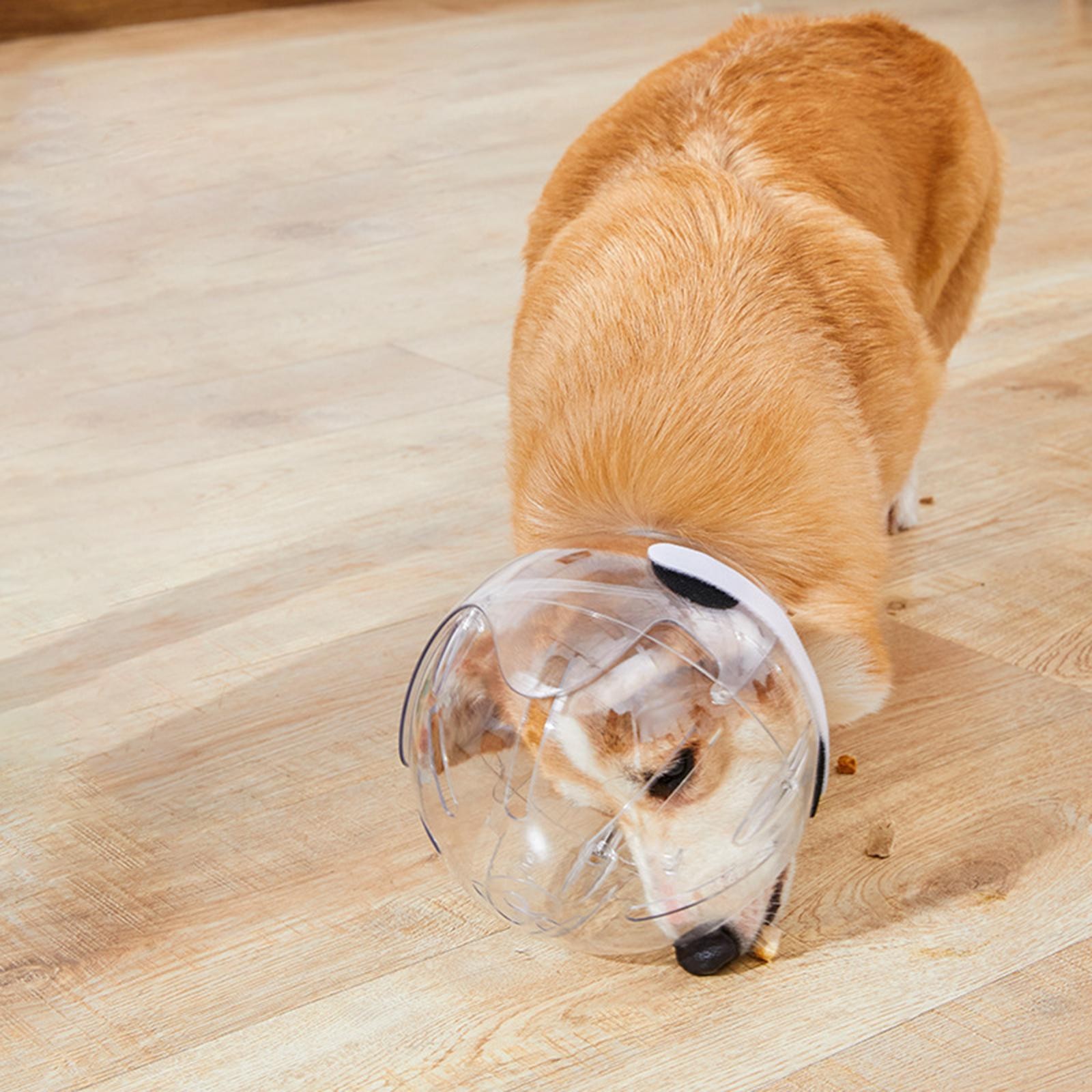 Dog Muzzle Sturdy Anti Bite Clear Protective Prevent Biting Breathable Pet Hood