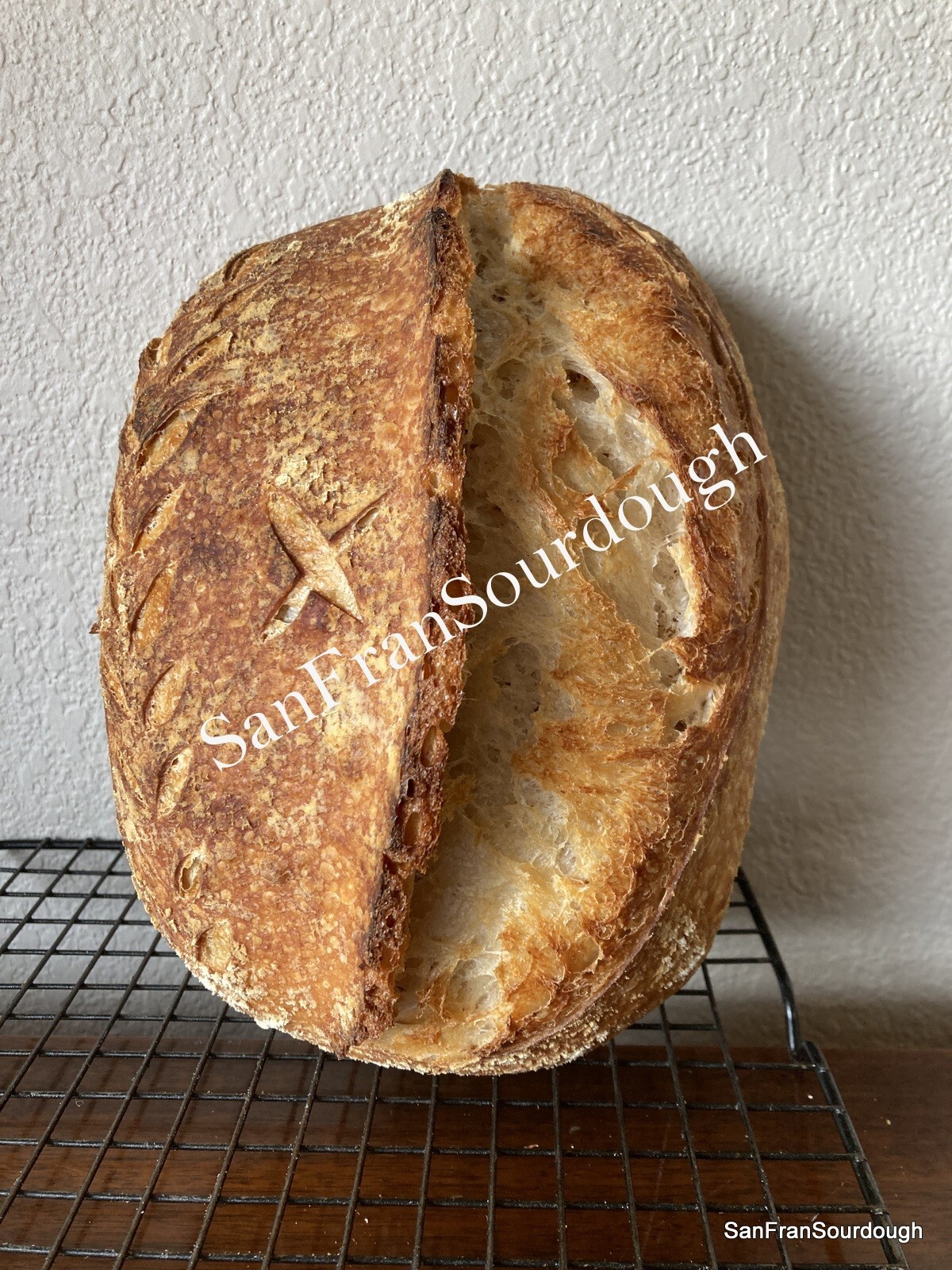 Dry Sourdough Starter San Francisco style