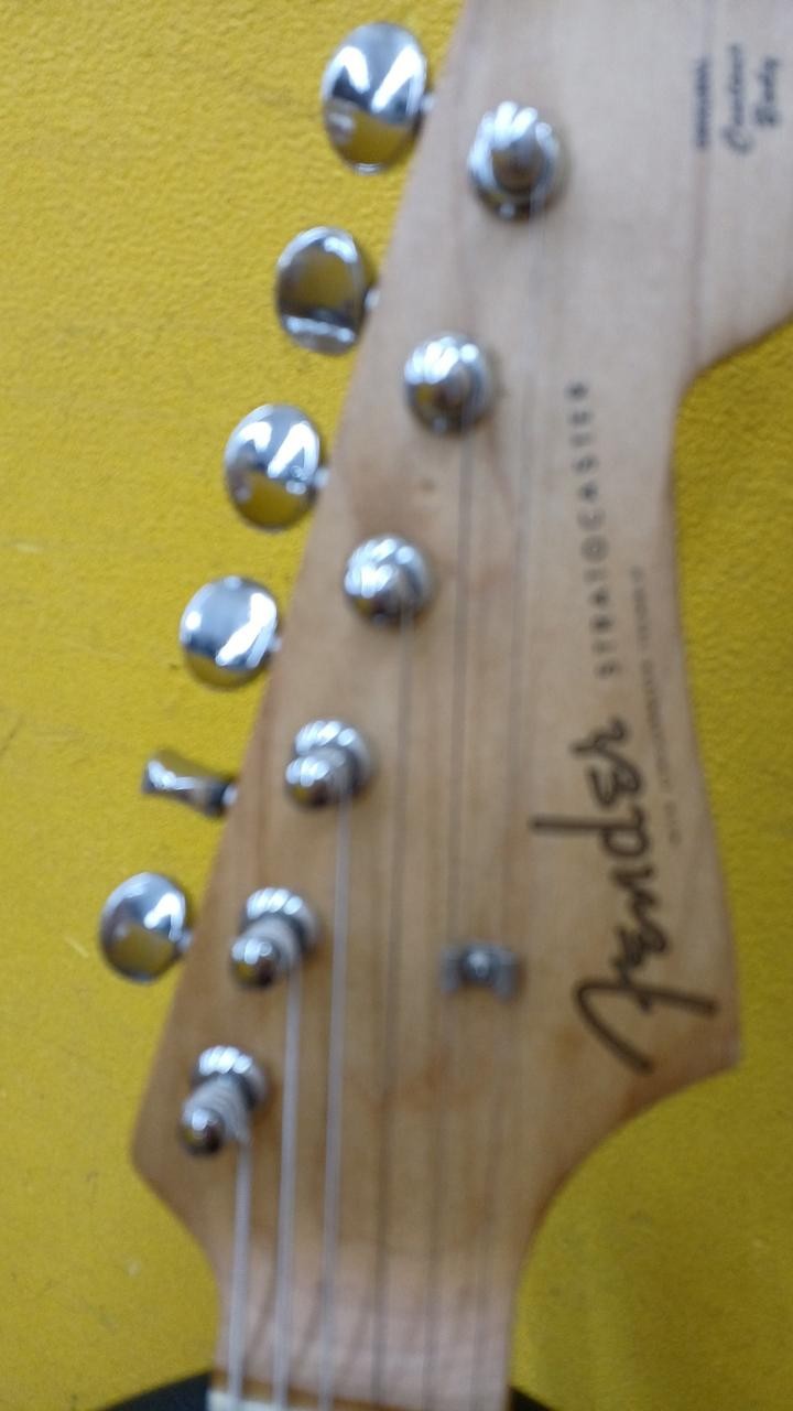 FENDER JAPAN MST-35 (NO251005)