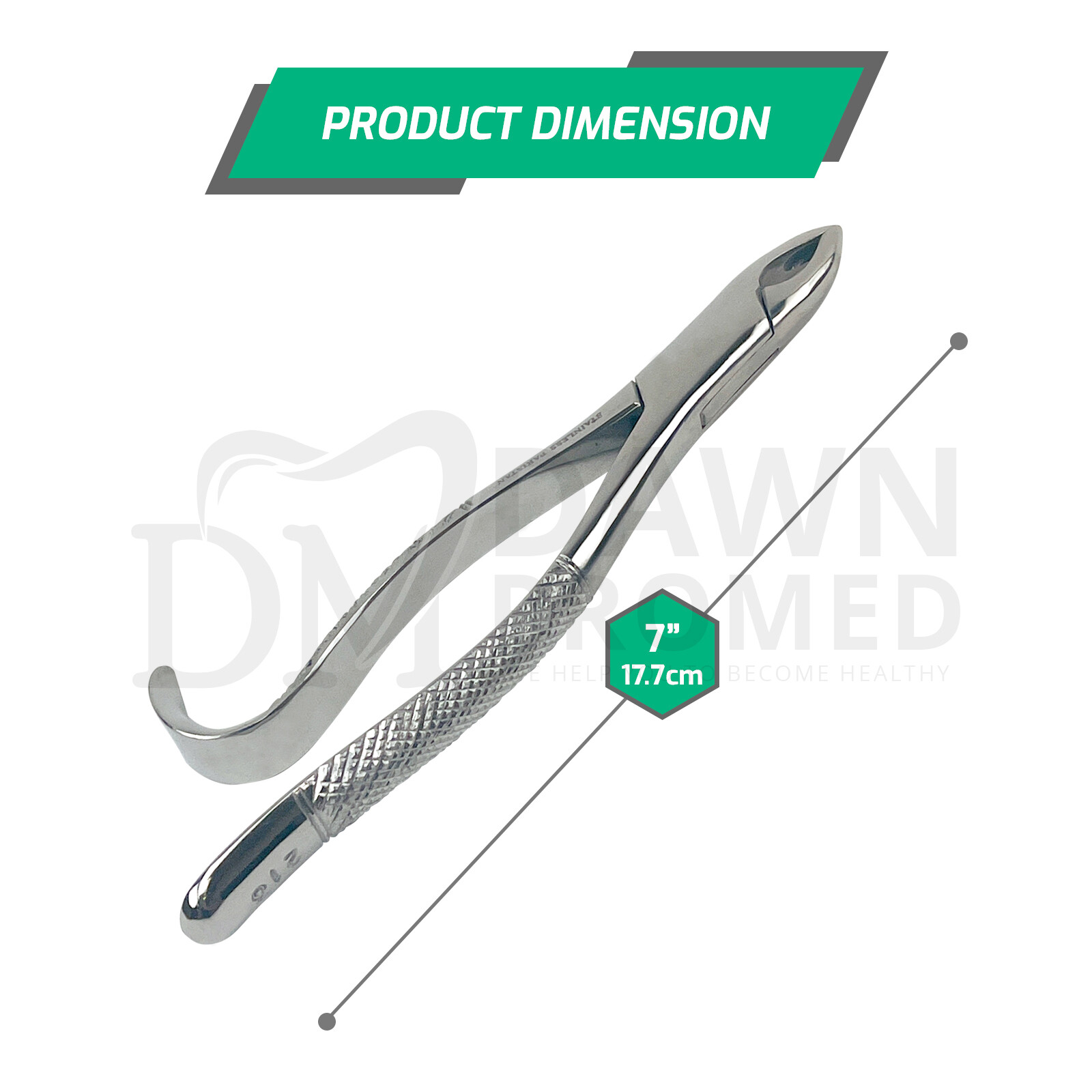 Dental Extracting Forceps #213 Upper Central, Canines American Pattern German Gr