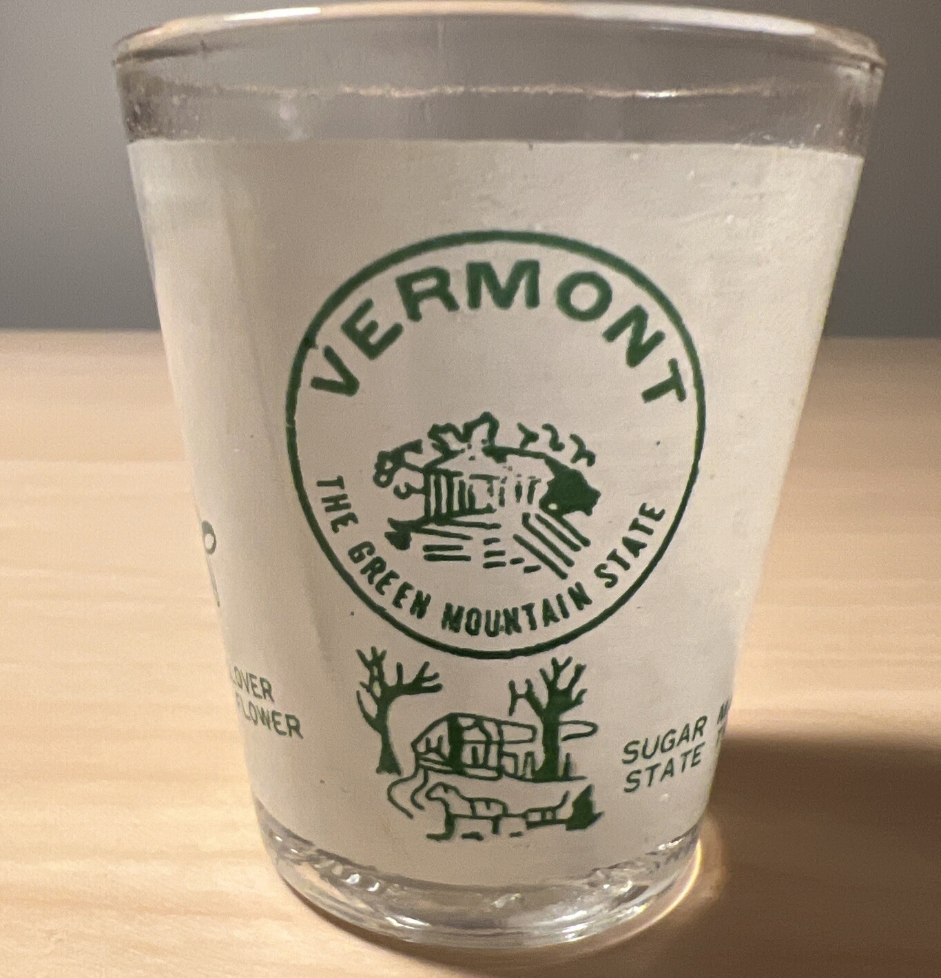 Vermont - The Green Mtn State- logo & scenes on Standard Shot Glass- Free Ship!