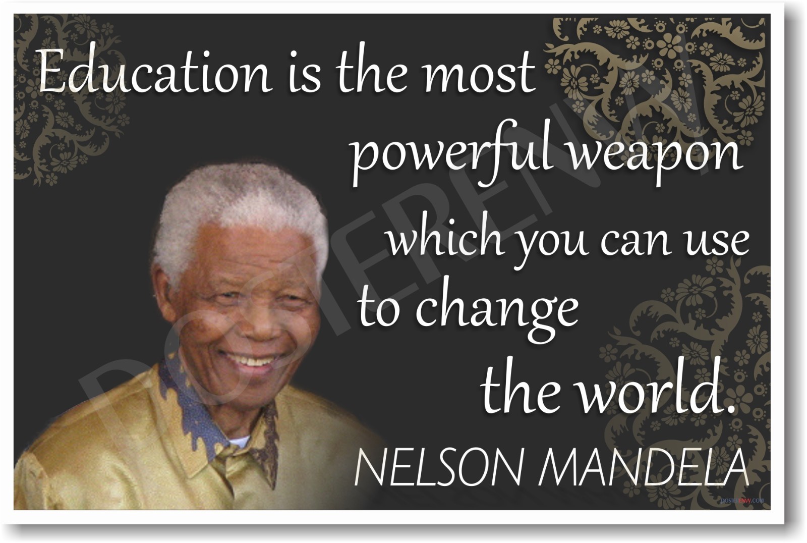 Nelson Mandela "Education is the Most Powerful Weapon"  NEW Famous Person Poster