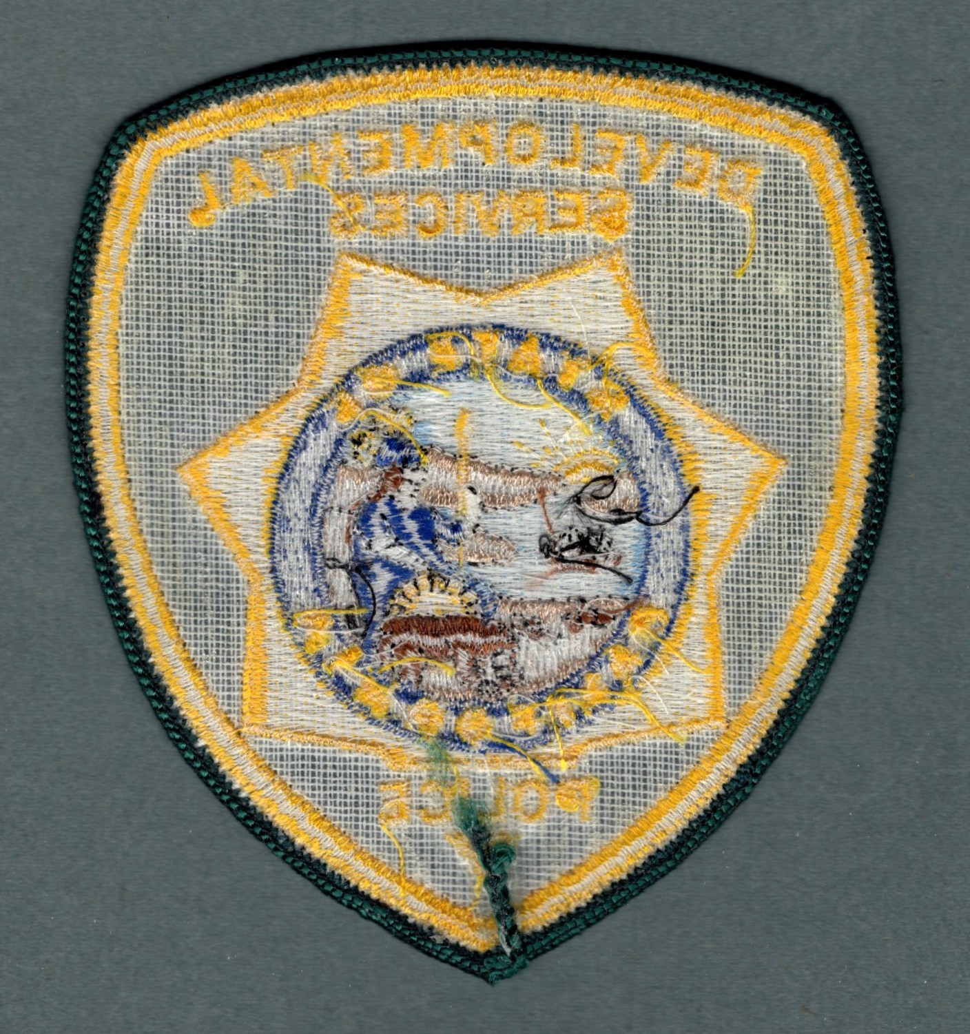 California Developmental Services Police Patch