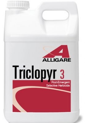 Triclopyr 3 (2.5 gallon)-Compare to Garlon 3A - 2.5 Gallon
