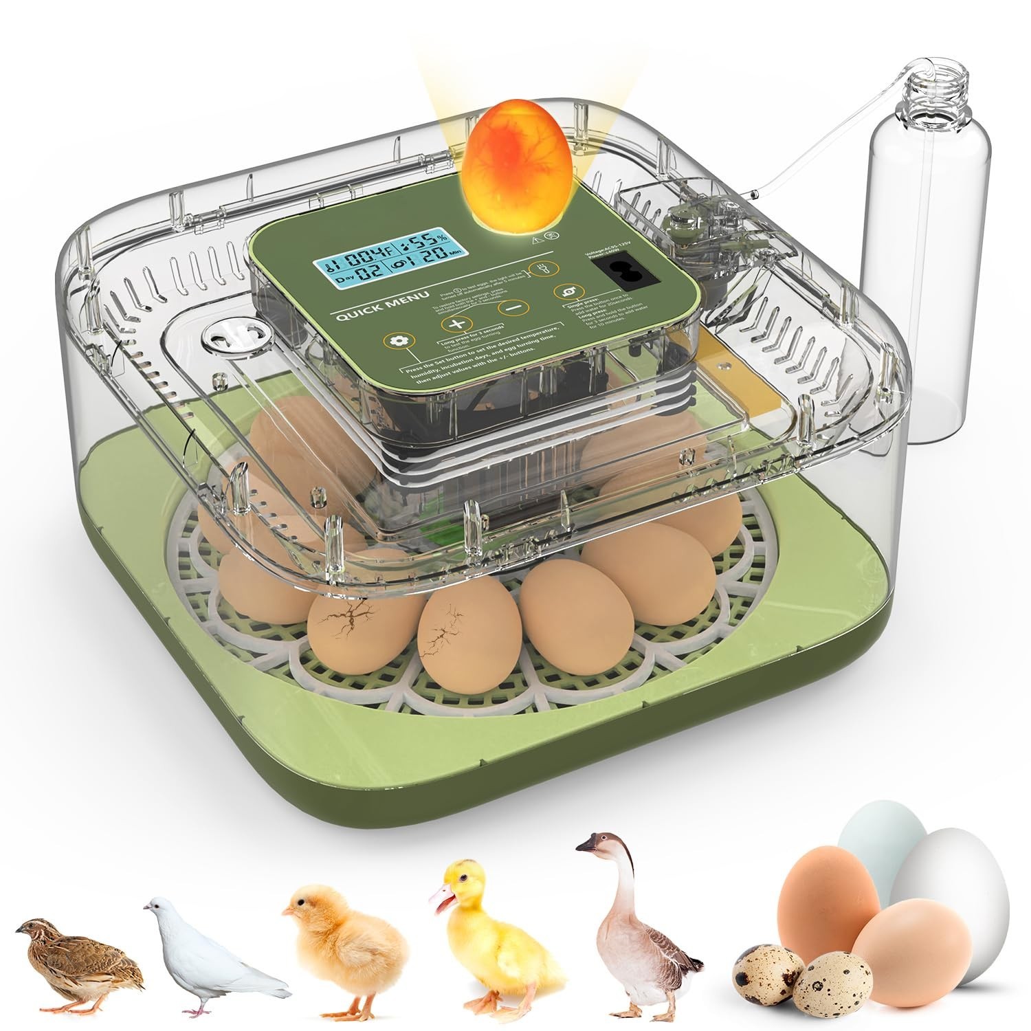 Incubadora de huevos, incubadora de 8 huevos con giro automático de huevos