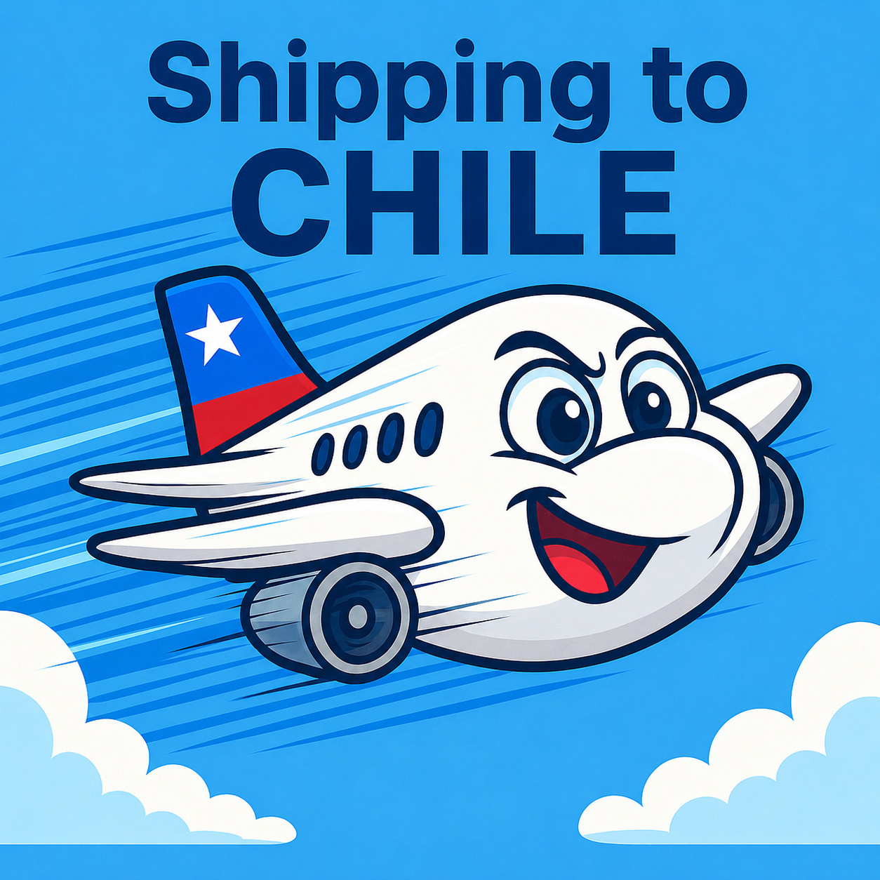 Additional Shipping Fee（Chile）