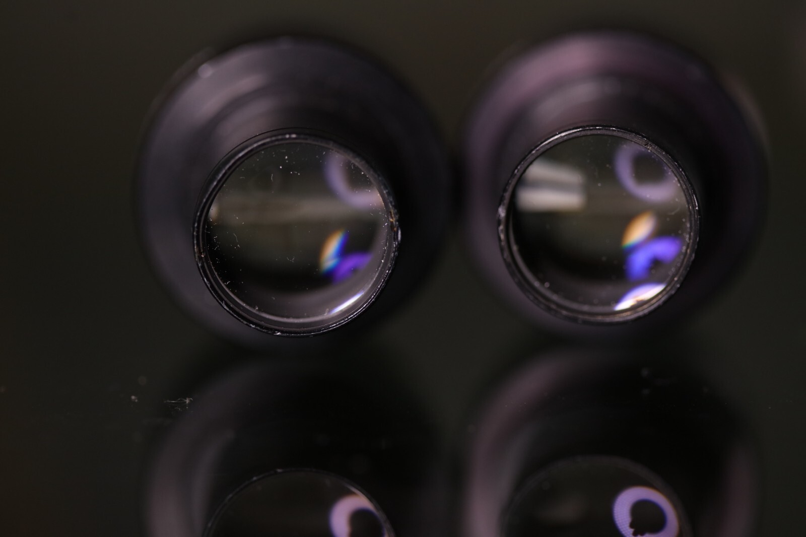 Olympus WK 10X/20L Microscope Eyepiece Pair