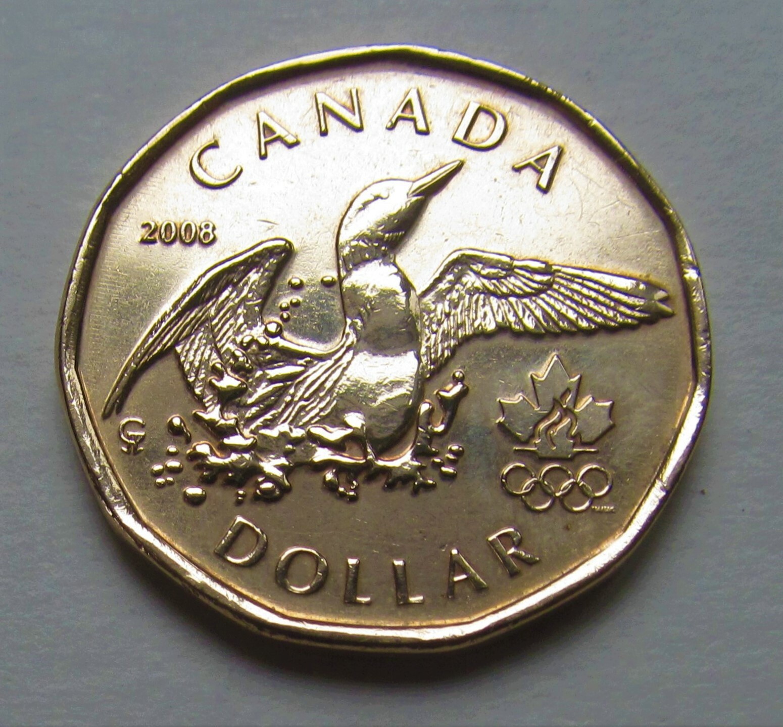 2008 CANADA LUCKY LOONIE DOLLAR- c/h