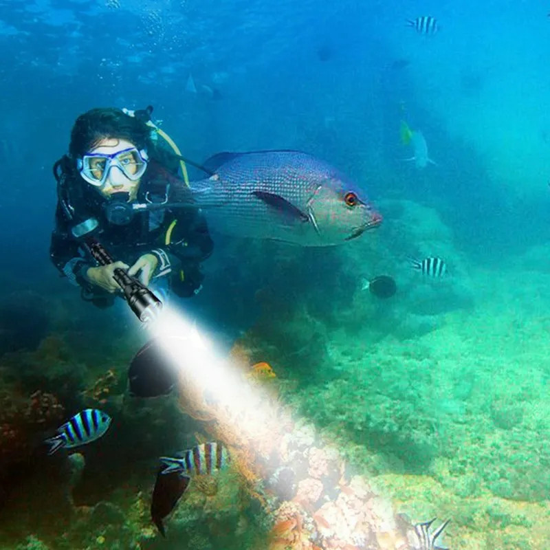 290000lm 5* LED Diving Flashlight Torch Scuba UnderWater Lantern Light