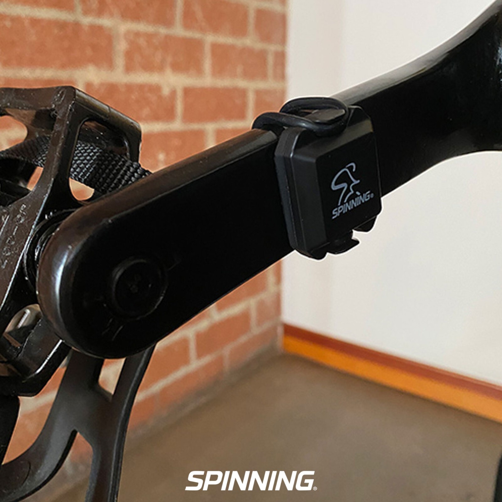 Spinning® Connect ™ Dual Mode Cadence Sensor