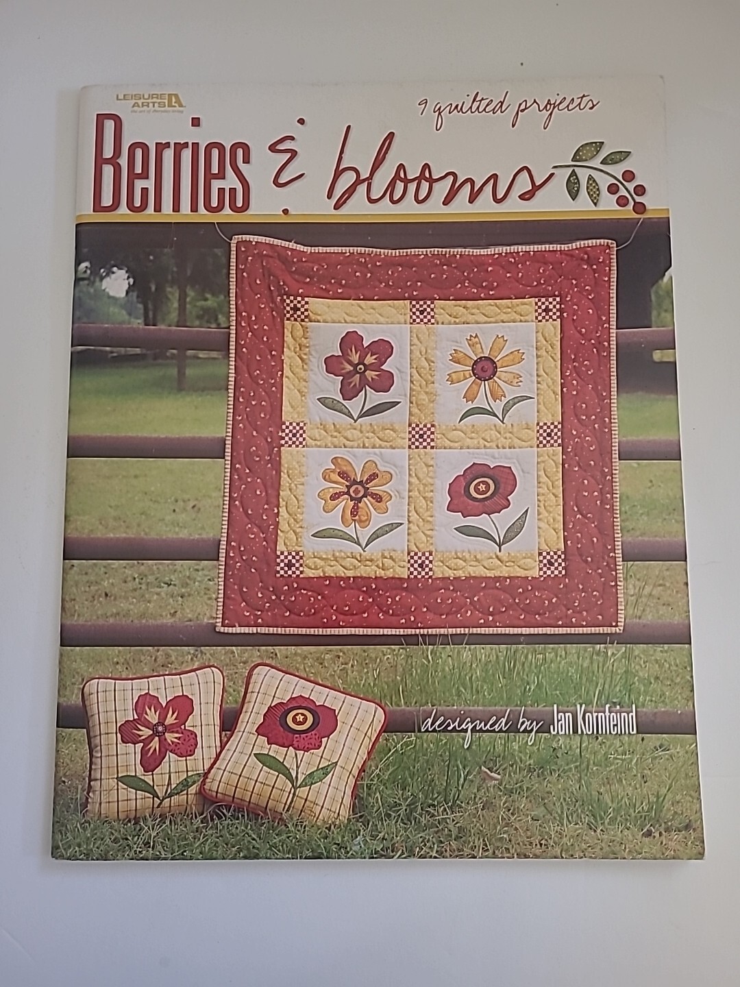 Berries & Blooms Jan Jorfeind 9 Quilted Projects Pillows Wall Hangings Runners