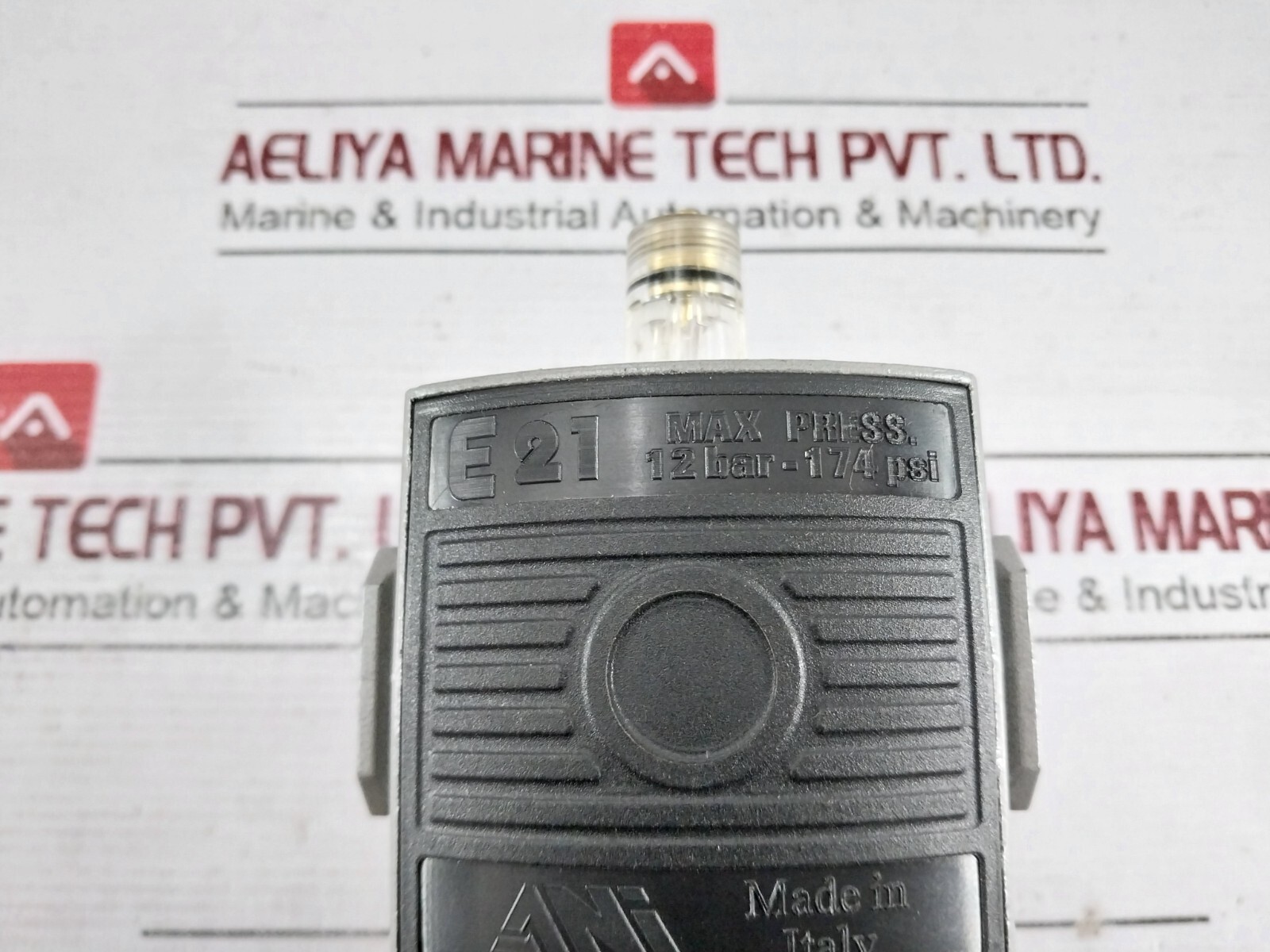 ANI E21 Modular Lubricator 12 BAR-174 PSI