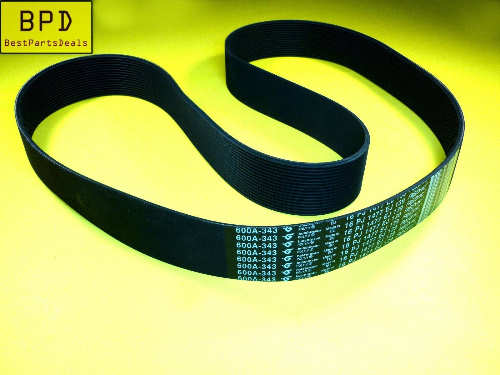 Genuine CYBEX Arc Trainer 16 Ribs Primary Drive Belt OEM FLEXONIC 600A-343