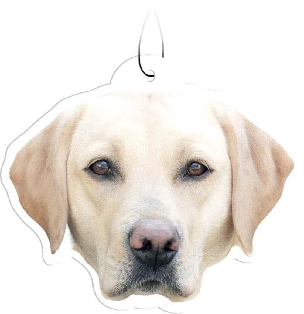 Spoontiques Car Air Freshener, Automotive Indoor Hanging Fragrance (Yellow Lab)