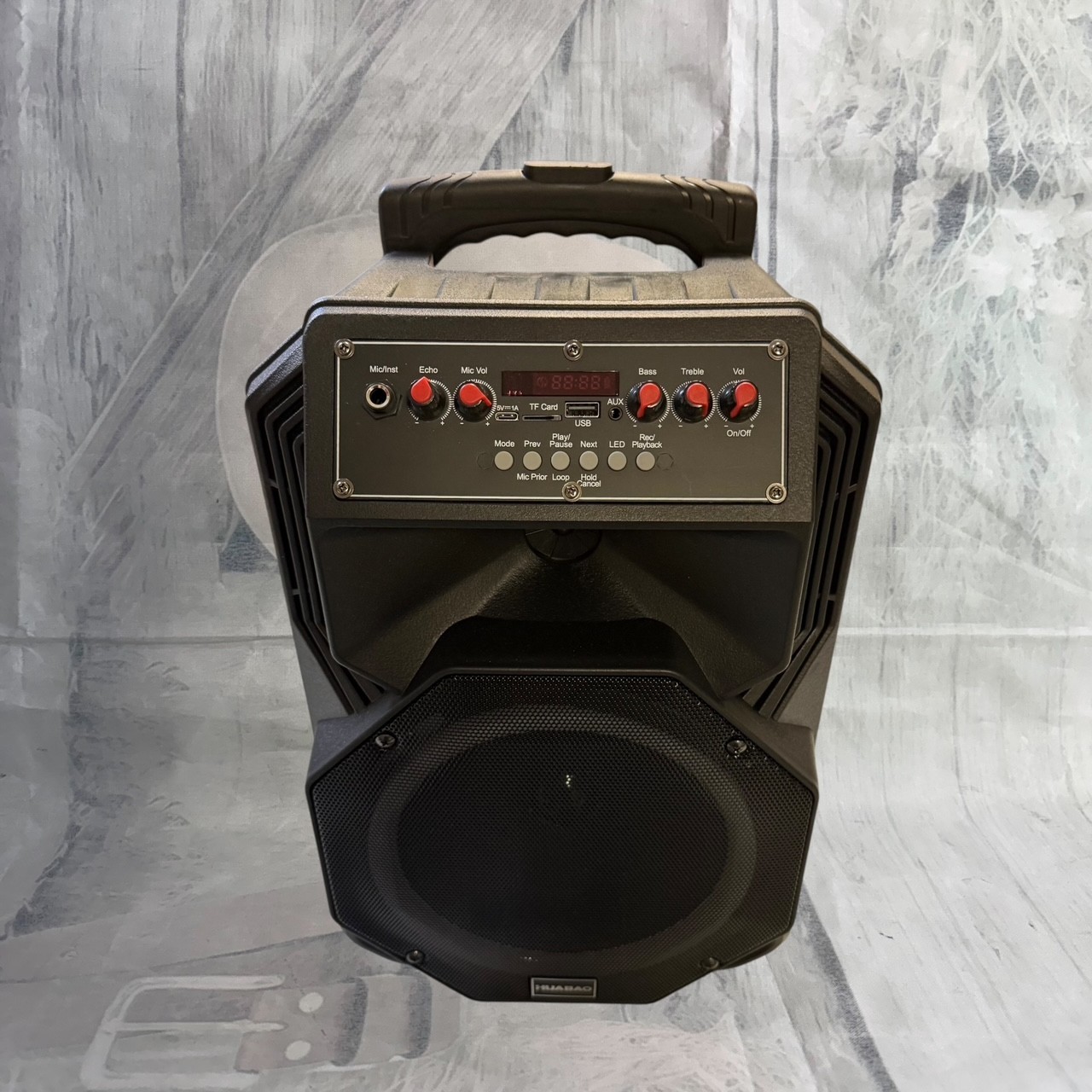 Karaoke Machine with 2 Wireless Microphones & Bluetooth Speaker