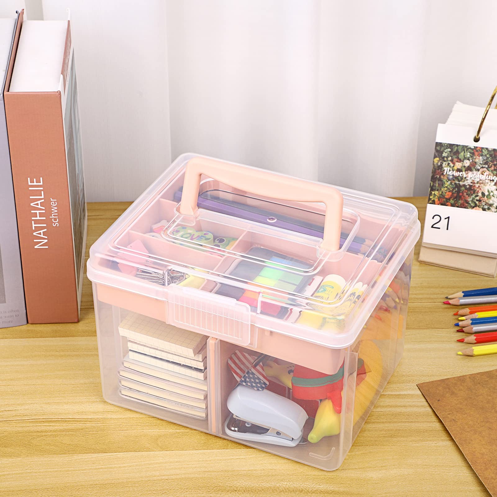 BTSKY 2-Layer Clear Plastic Storage Box w/ Removable Tray - Multi-purpose