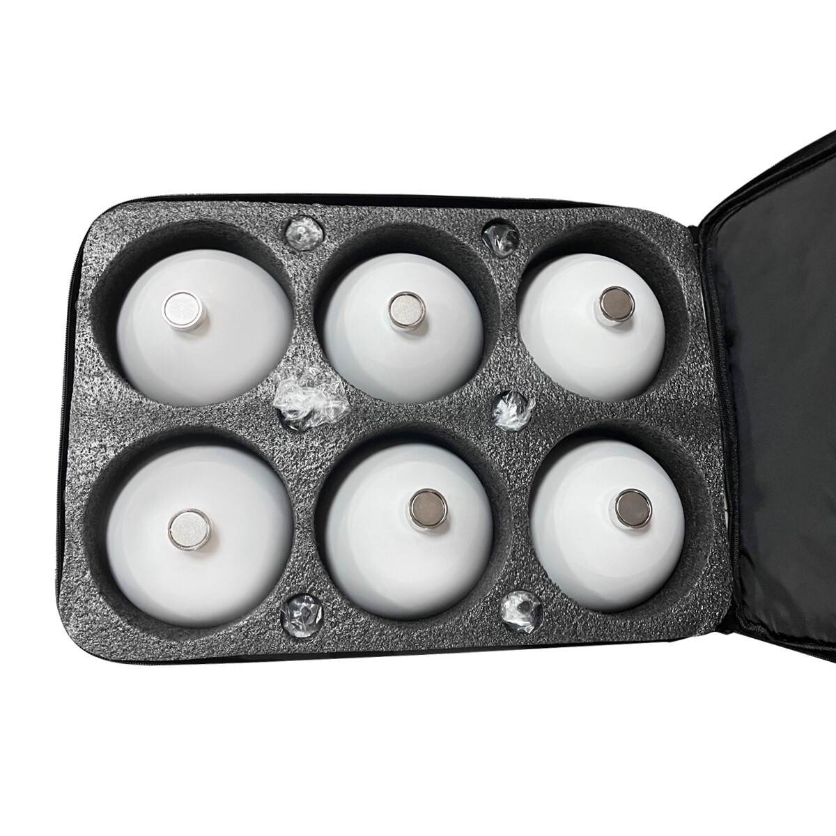 6PCS 3D Scanner Target Spheres with Magnetic Base Tripod Mount Carrying Bag