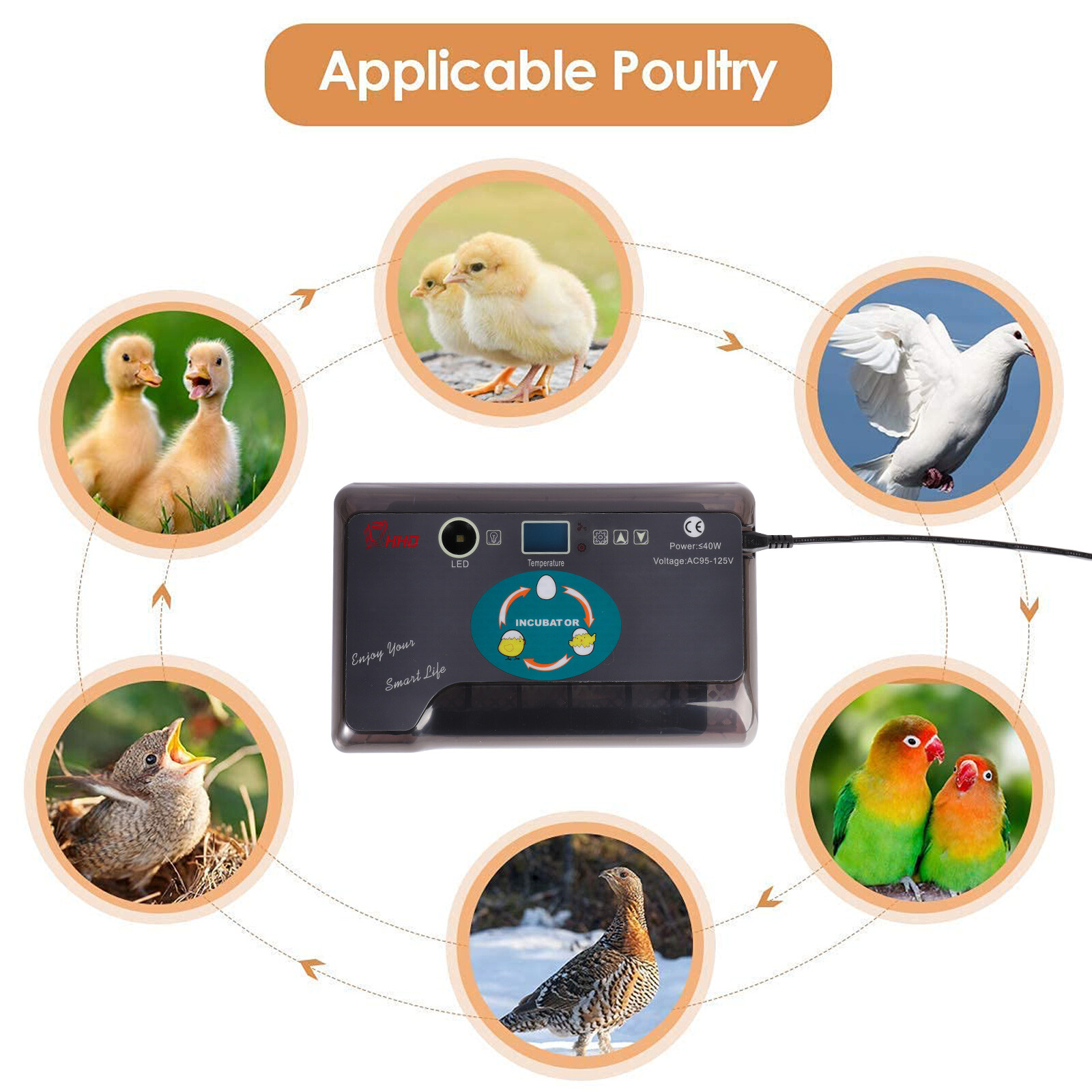 Egg Incubator Automatic Chicken Quail Chick Bird Hatcher Temperature Control