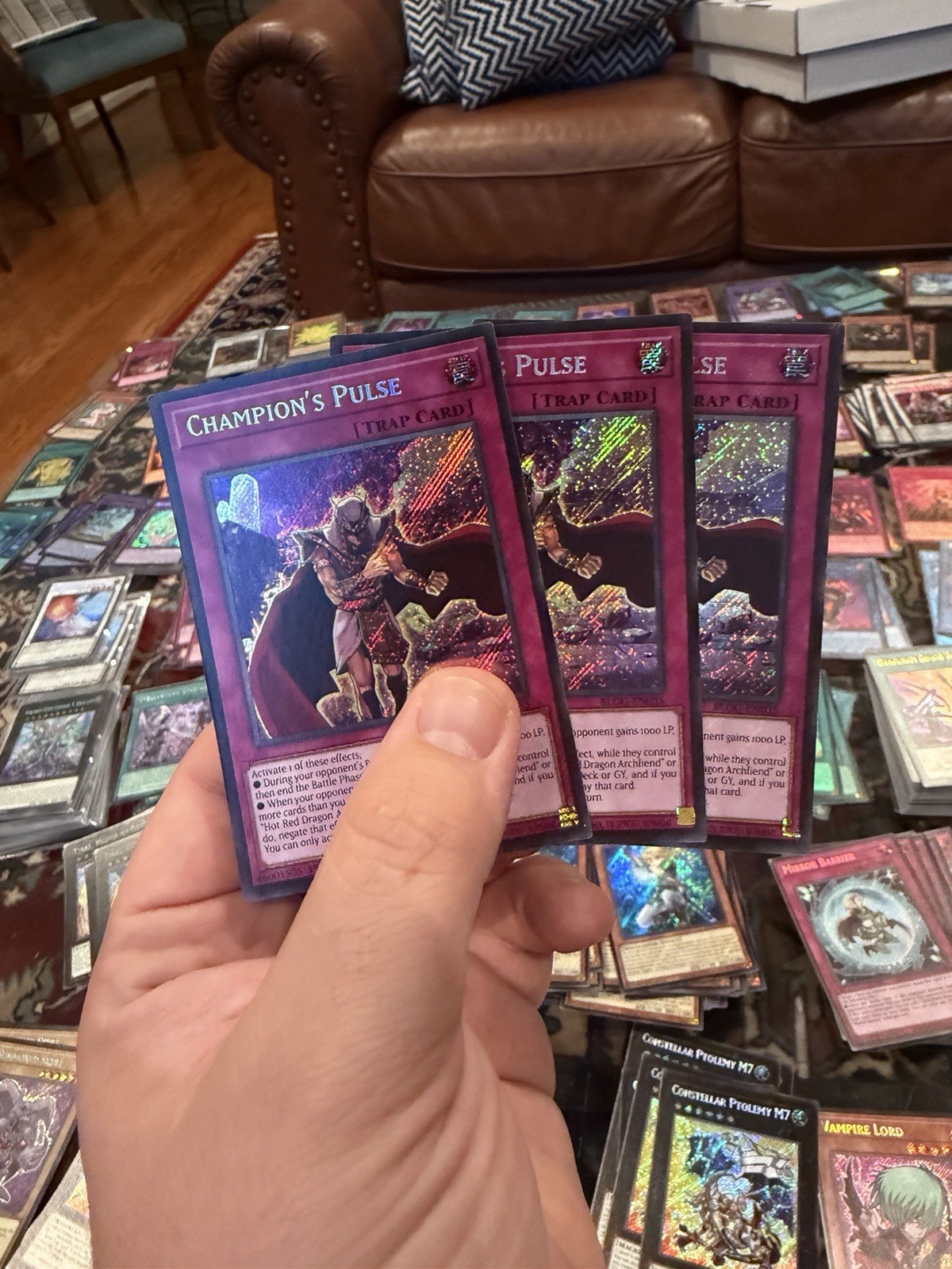 X3 Champion’s Pulse Blgg-en035