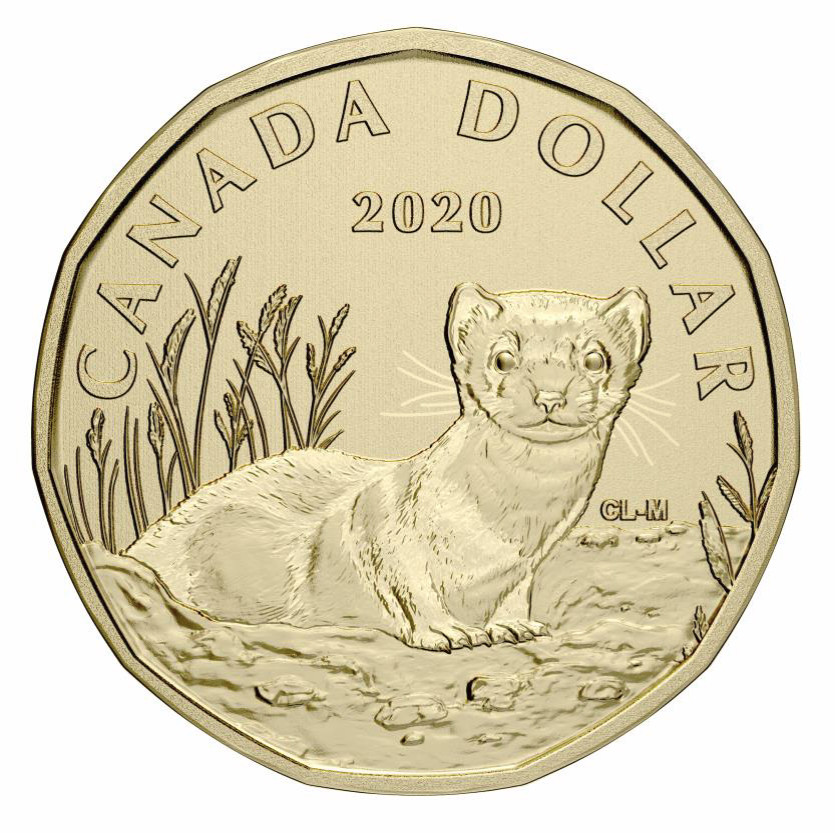 2020 Canada Ferret Loon Dollar Specimen  $1 coin only (from set)