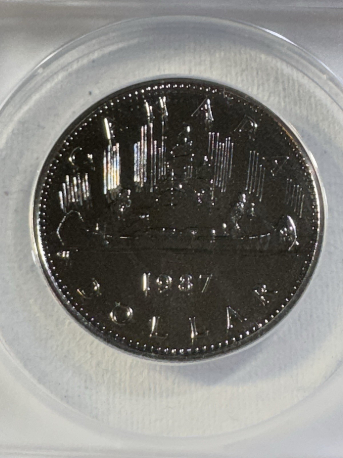 1987 Canada 1 Dollar Proof Like Coin Graded MS 69 by ANACS Voyageur